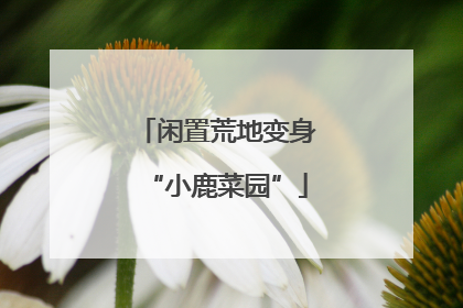 闲置荒地变身“小鹿菜园”