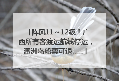 阵风11～12级！广西所有客渡运航线停运，涠洲岛船票可退……