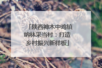 陕西神木中鸡镇纳林采当村：打造乡村振兴新样板