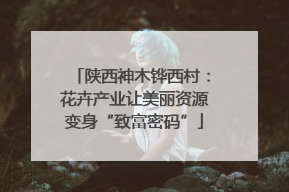陕西神木铧西村：花卉产业让美丽资源变身“致富密码”