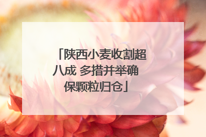 陕西小麦收割超八成 多措并举确保颗粒归仓