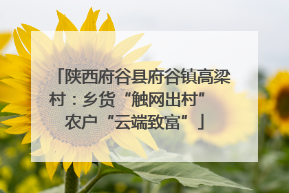 陕西府谷县府谷镇高梁村：乡货“触网出村” 农户“云端致富”