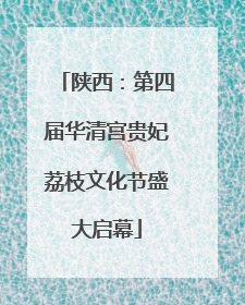 陕西：第四届华清宫贵妃荔枝文化节盛大启幕