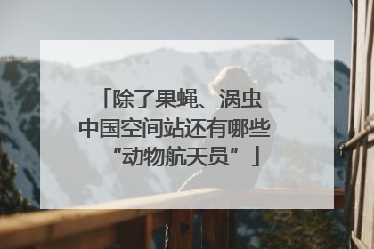 除了果蝇、涡虫 中国空间站还有哪些“动物航天员”