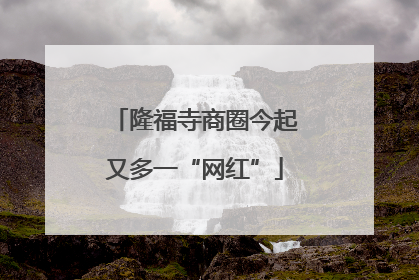 隆福寺商圈今起又多一“网红”
