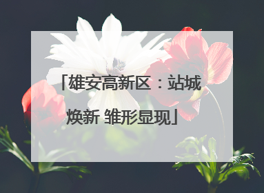 雄安高新区：站城焕新 雏形显现