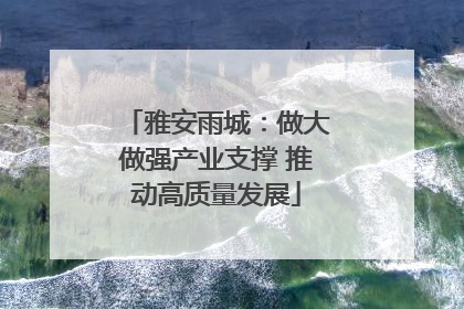 雅安雨城：做大做强产业支撑 推动高质量发展