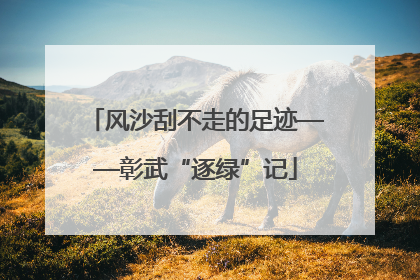 风沙刮不走的足迹——彰武“逐绿”记