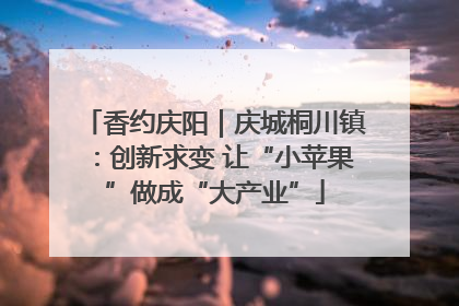 香约庆阳｜庆城桐川镇：创新求变 让“小苹果”做成“大产业”