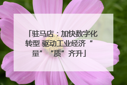 驻马店：加快数字化转型 驱动工业经济“量”“质”齐升