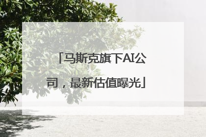 马斯克旗下AI公司，最新估值曝光