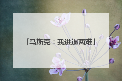 马斯克：我进退两难