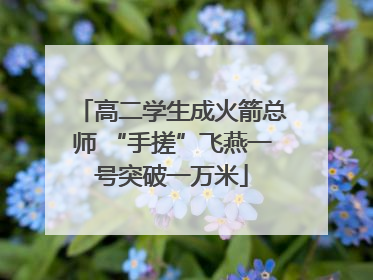 高二学生成火箭总师 “手搓”飞燕一号突破一万米
