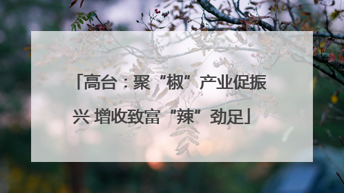 高台：聚“椒”产业促振兴 增收致富“辣”劲足