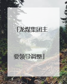 龙煤集团主要领导调整