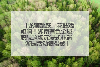 龙狮跳跃、花鼓戏唱响！湖南有色金属职院这场沉浸式非遗游园活动很带感