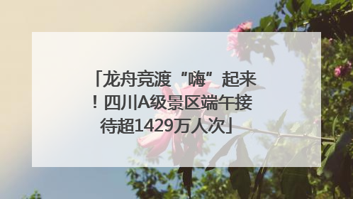龙舟竞渡“嗨”起来！四川A级景区端午接待超1429万人次