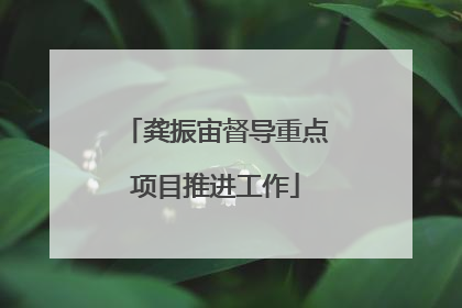 龚振宙督导重点项目推进工作