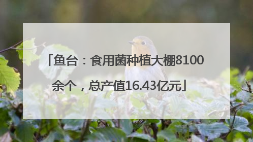 鱼台：食用菌种植大棚8100余个，总产值16.43亿元