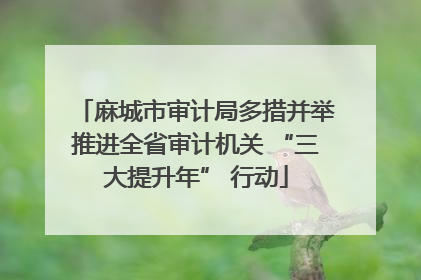 麻城市审计局多措并举推进全省审计机关 “三大提升年” 行动