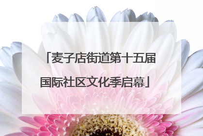 麦子店街道第十五届国际社区文化季启幕