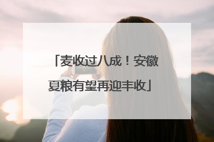 麦收过八成！安徽夏粮有望再迎丰收