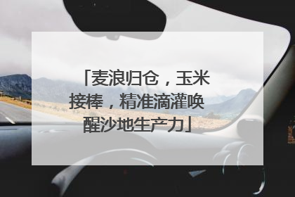 麦浪归仓，玉米接棒，精准滴灌唤醒沙地生产力