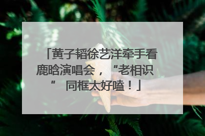 黄子韬徐艺洋牵手看鹿晗演唱会，“老相识” 同框太好嗑！