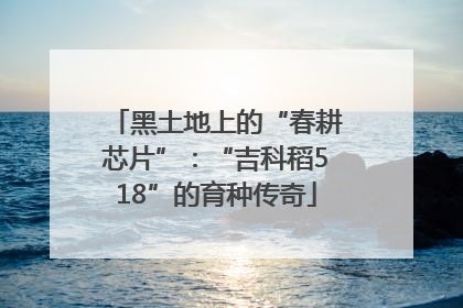 黑土地上的“春耕芯片”：“吉科稻518”的育种传奇