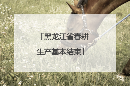 黑龙江省春耕生产基本结束