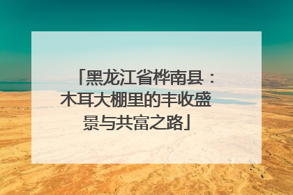 黑龙江省桦南县：木耳大棚里的丰收盛景与共富之路
