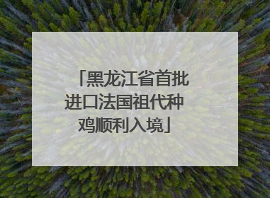 黑龙江省首批进口法国祖代种鸡顺利入境