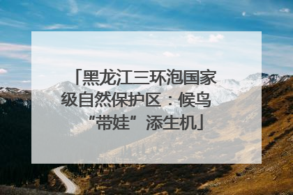 黑龙江三环泡国家级自然保护区：候鸟“带娃”添生机