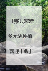 黟县宏潭乡元胡种植喜迎丰收