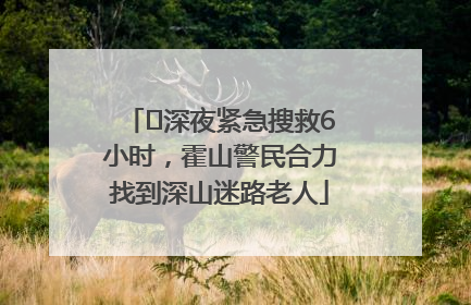 ﻿深夜紧急搜救6小时，霍山警民合力找到深山迷路老人
