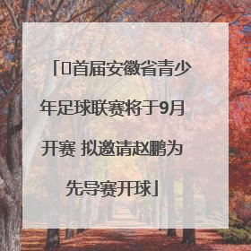 ﻿首届安徽省青少年足球联赛将于9月开赛 拟邀请赵鹏为先导赛开球
