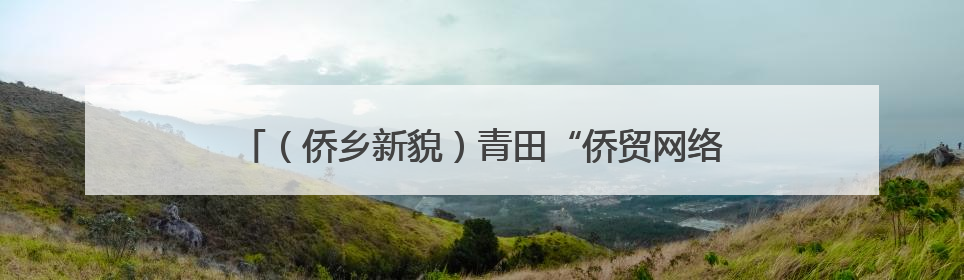 （侨乡新貌）青田“侨贸网络”助推浙江优质农产品出海