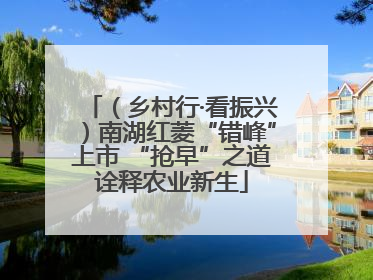 （乡村行·看振兴）南湖红菱“错峰”上市 “抢早”之道诠释农业新生