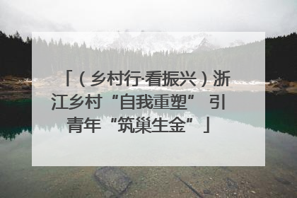 （乡村行·看振兴）浙江乡村“自我重塑” 引青年“筑巢生金”