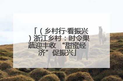 （乡村行·看振兴）浙江乡村：时令果蔬迎丰收 “甜蜜经济”促振兴