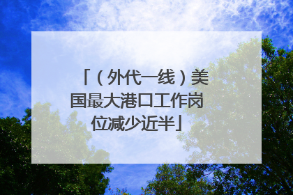 （外代一线）美国最大港口工作岗位减少近半