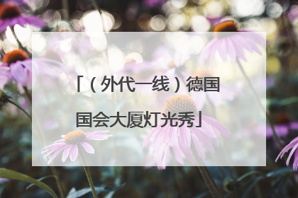 （外代一线）德国国会大厦灯光秀