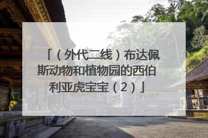 （外代二线）布达佩斯动物和植物园的西伯利亚虎宝宝（2）