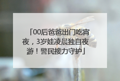 00后爸爸出门吃宵夜，3岁娃凌晨独自夜游！警民接力守护