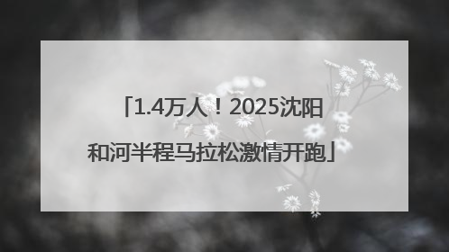 1.4万人！2025沈阳和河半程马拉松激情开跑
