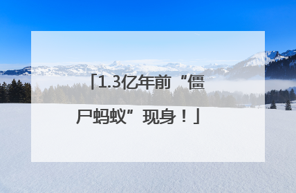 1.3亿年前“僵尸蚂蚁”现身！