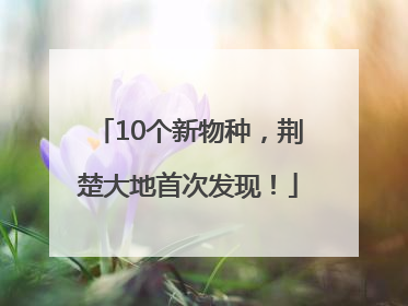 10个新物种，荆楚大地首次发现！