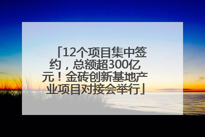 12个项目集中签约，总额超300亿元！金砖创新基地产业项目对接会举行