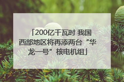 200亿千瓦时 我国西部地区将再添两台“华龙一号”核电机组