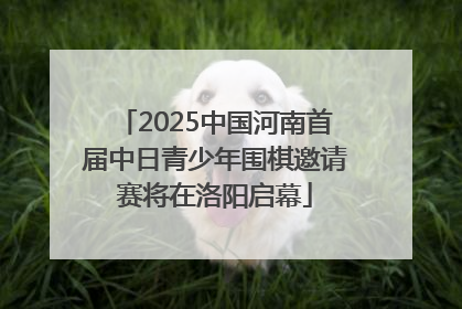2025中国河南首届中日青少年围棋邀请赛将在洛阳启幕